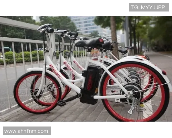 南京滑板队状态对比深度解析团队表现与发展潜力全景观察