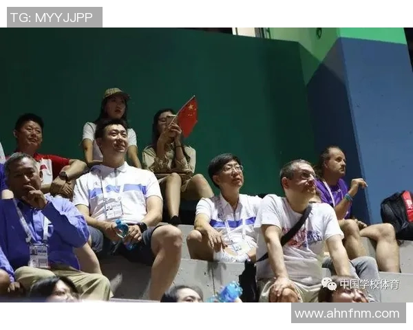 武汉乒乓球队比赛经验分析与表现评估的全面研究与探讨