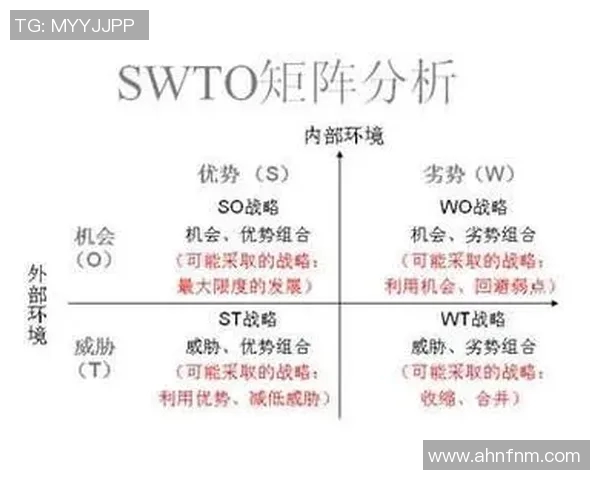 独家解析IG的影响力与竞争对手的全面对比分析