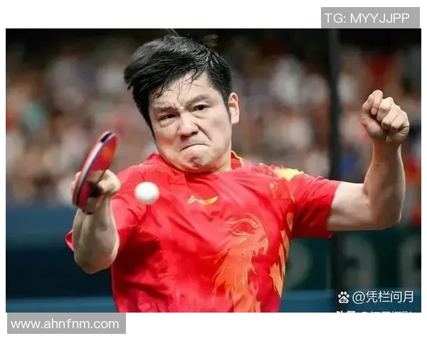 乒乓球传奇揭秘：深入解析北京乒乓球队员的个人技术与实力