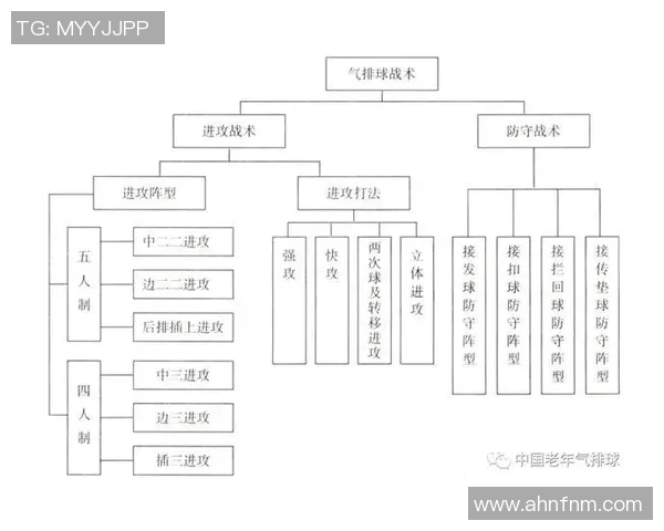 南京排球队的战术解析与控制策略深度剖析