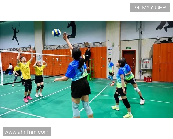 成都排球队的速度之美：探索排球运动中的快速反应与团队配合