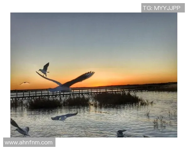 吕俊虎的奋斗历程与成功秘诀揭秘,激励年轻人追逐梦想的真实故事 吕俊虎的奋斗历程与成功秘诀揭秘,激励年轻人追逐梦想的真实故事