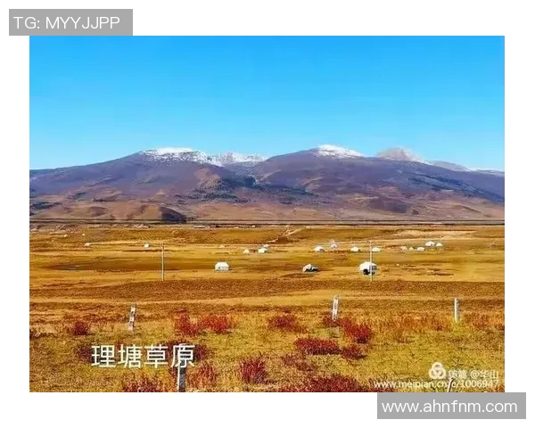 宾高城视频对决精彩回顾与分析带你领略比赛背后的故事与战术解析