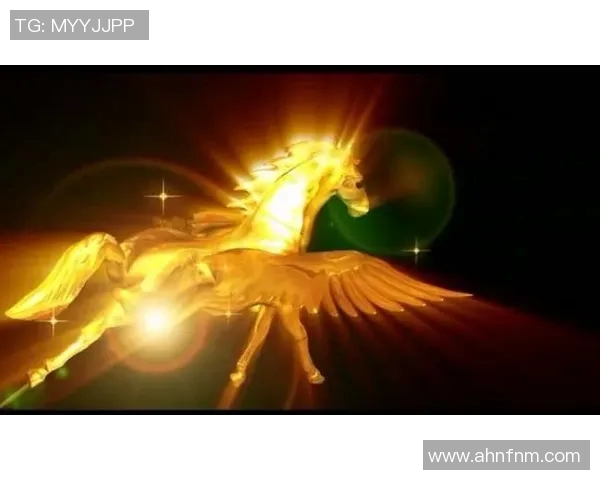 梦想vs飞马直播视频