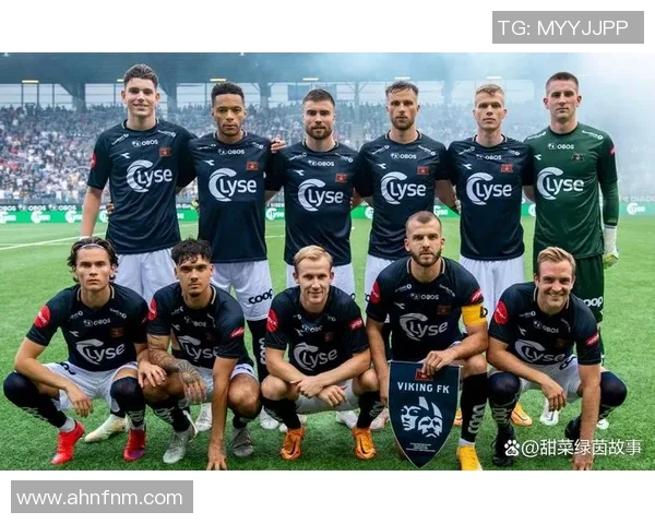 罗森博格与维京对决前瞻分析双方实力与战术布局的全面解读