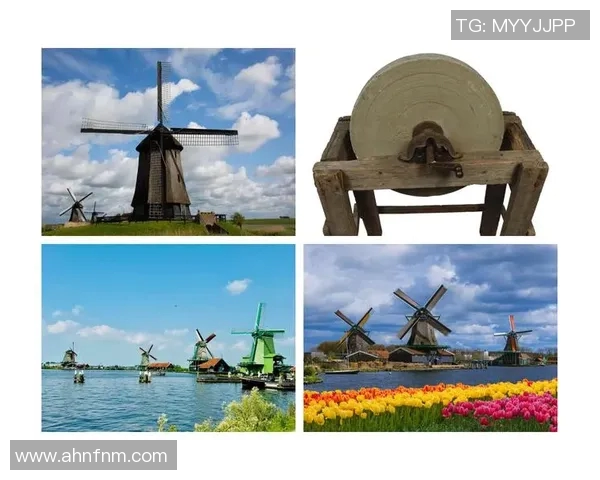 荷兰的VS是哪种独特的文化象征与历史传承解析